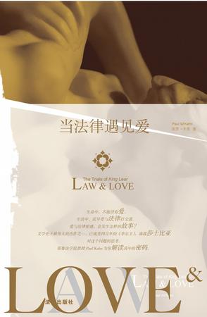 当法律遇见爱