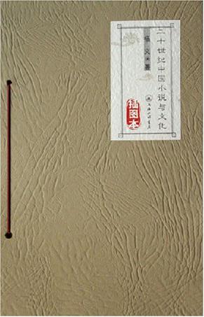 二十世纪中国小说与文化