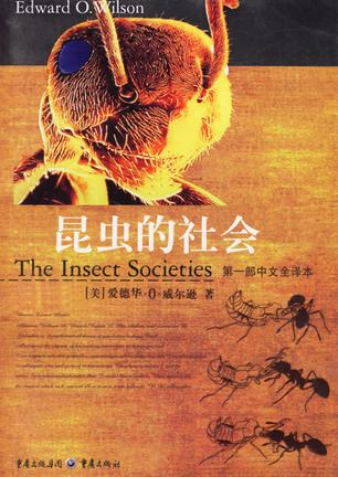 昆虫的社会