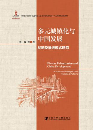 多元城镇化与中国发展