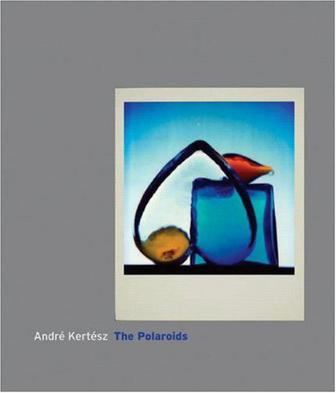 André Kertész：The Polaroids