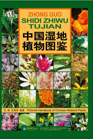 中国湿地植物图鉴