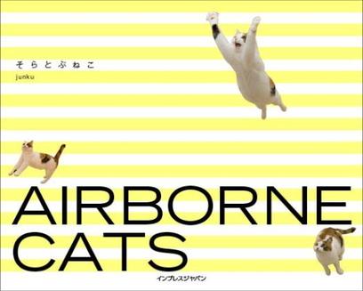 Airborne Cats
