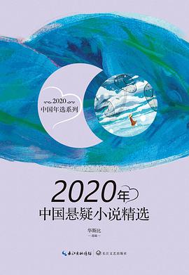 2020年中国悬疑小说精选